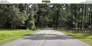 [Coppage Road Tree Canopy, between Griffin Drive and Skipper Bridge Road]