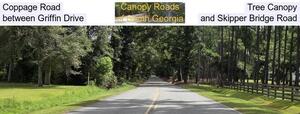 [Coppage Road Tree Canopy, between Griffin Drive and Skipper Bridge Road]