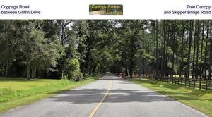 [Coppage Road Tree Canopy, between Griffin Drive and Skipper Bridge Road]