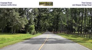 [Coppage Road Tree Canopy, between Griffin Drive and Skipper Bridge Road]