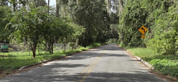 [Southwest canopy, Quarterman Road, 2026-08-08 --jsq for WWALS, 2026:08:08 10:51:29, 30.9969708, -83.2754556]