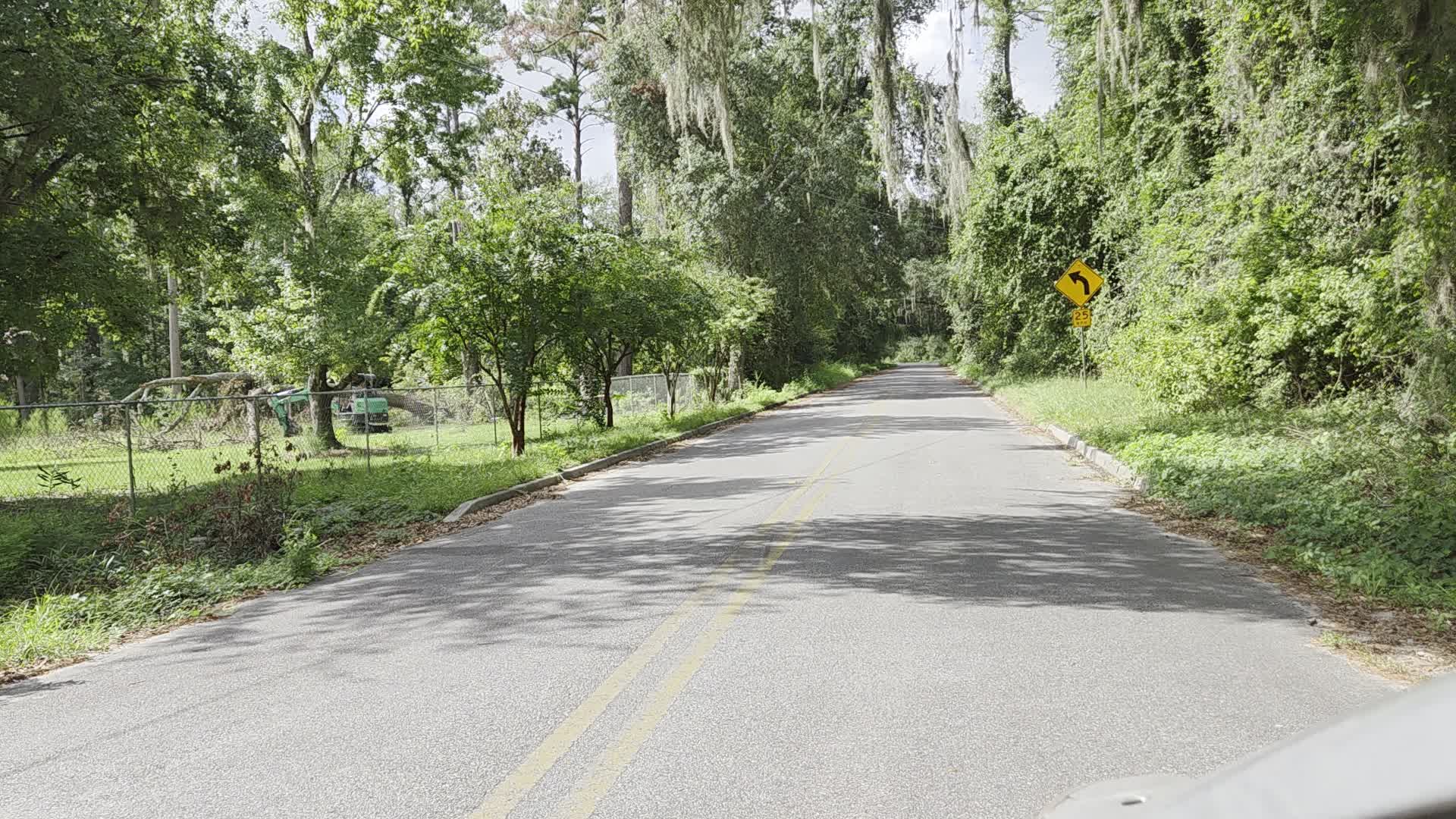 Movie: Southwest canopy, Quarterman Road, 2026-08-08 --jsq for WWALS, 2026:08:08 10:51:33, 30.9969708, -83.2754556 (40M)