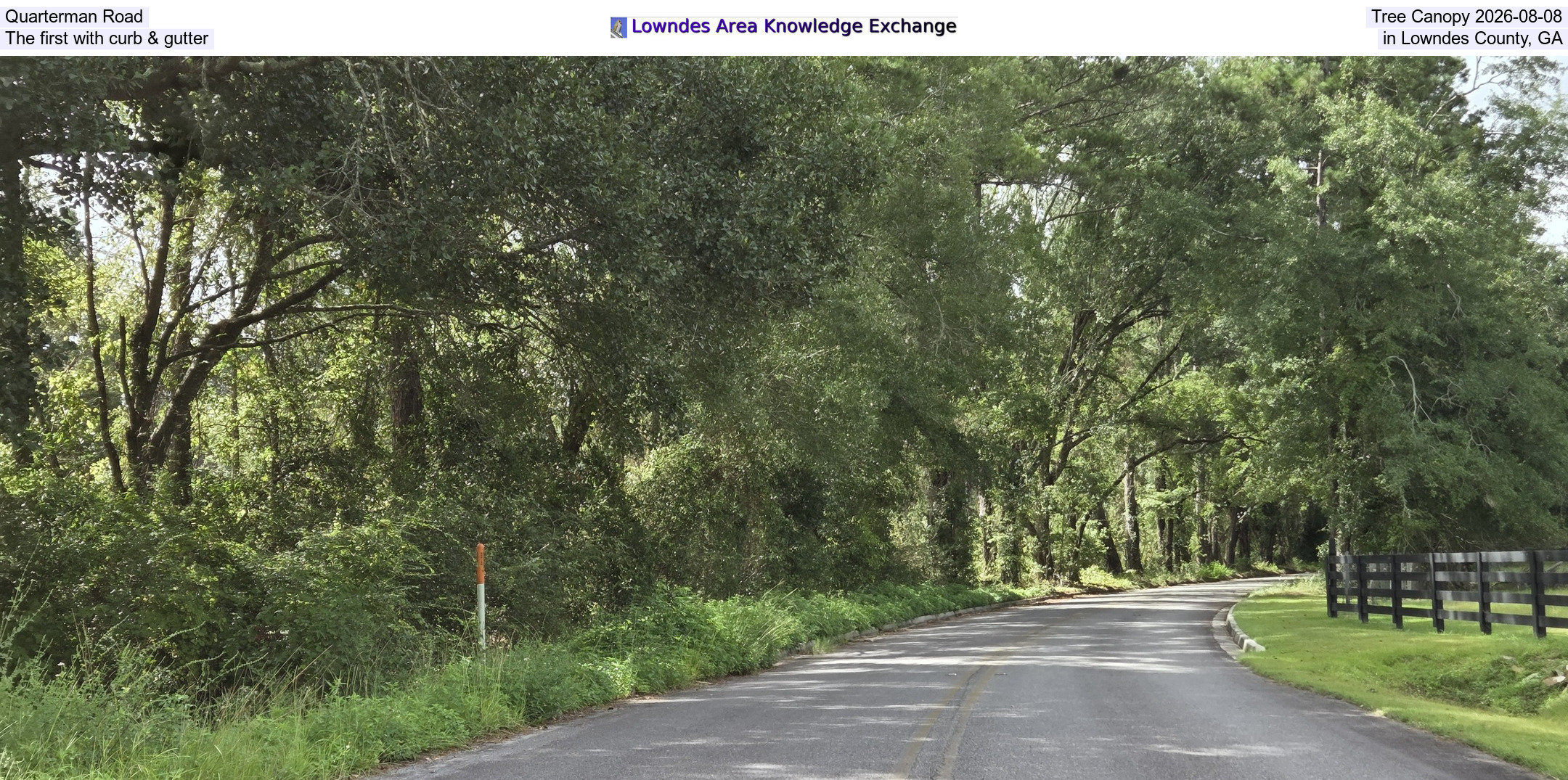 Quarterman Road Tree Canopy 2026-08-08, The first with curb & gutter in Lowndes County, GA