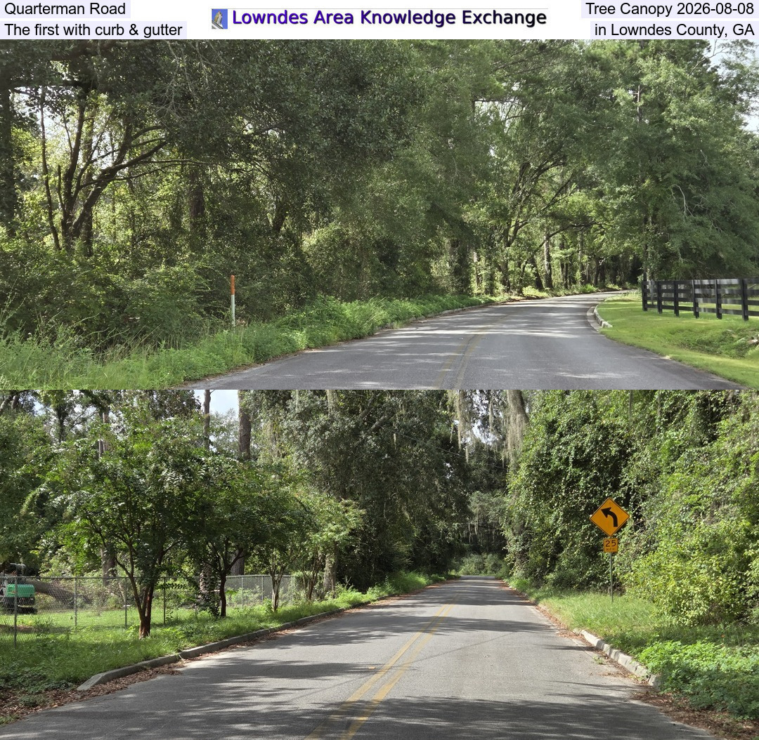 [Quarterman Road Tree Canopy 2026-08-08, The first with curb & gutter in Lowndes County, GA]