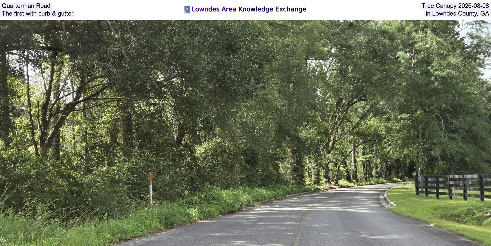 [Quarterman Road Tree Canopy 2026-08-08, The first with curb & gutter in Lowndes County, GA]
