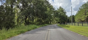 [Context, North canopy, Quarterman Road, 2026-08-08 --jsq for OPF, 2026:08:08 10:50:04, 31.0045109, -83.2735858]