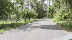 [Movie: Southwest canopy, Quarterman Road, 2026-08-08 --jsq for WWALS, 2026:08:08 10:51:33, 30.9969708, -83.2754556 (40M)]