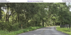 [Quarterman Road Tree Canopy 2026-08-08, The first with curb & gutter in Lowndes County, GA]