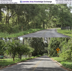 [Quarterman Road Tree Canopy 2026-08-08, The first with curb & gutter in Lowndes County, GA]