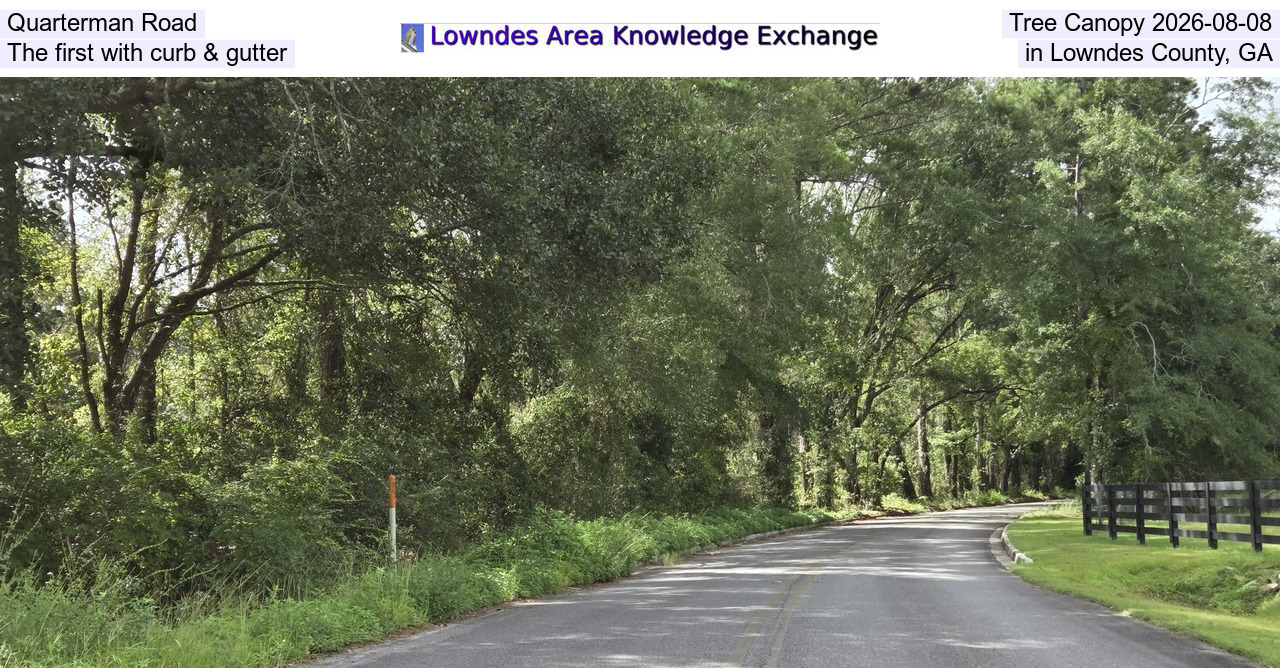 Quarterman Road Tree Canopy 2026-08-08, The first with curb & gutter in Lowndes County, GA